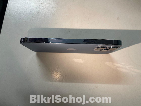 iphone 13 pro max (256 GB)